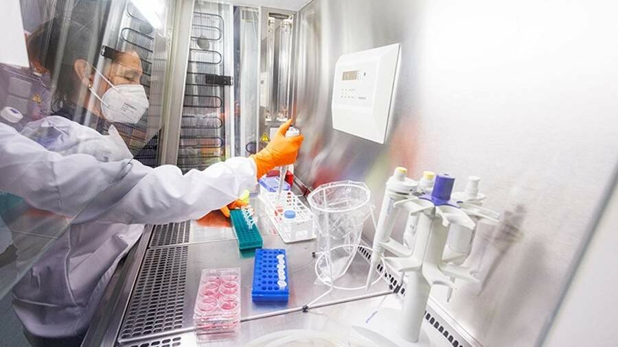 DSÖ: Maymun Çiçeği Salgınının Merkez Üssü Avrupa