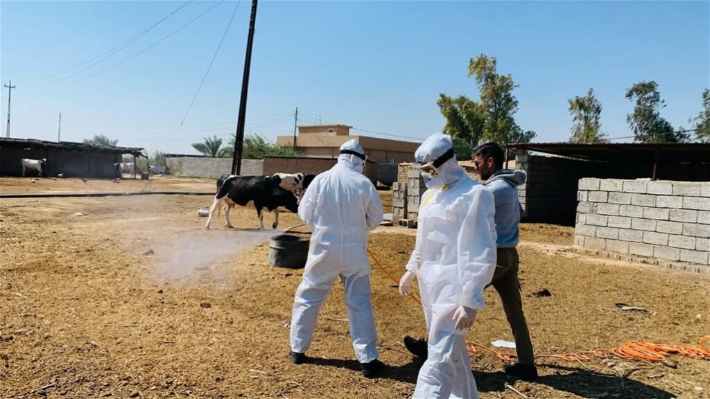 Sağlık Bakanlığı: Selahaddin’de yeni Hemorajik ateş vakası görüldü