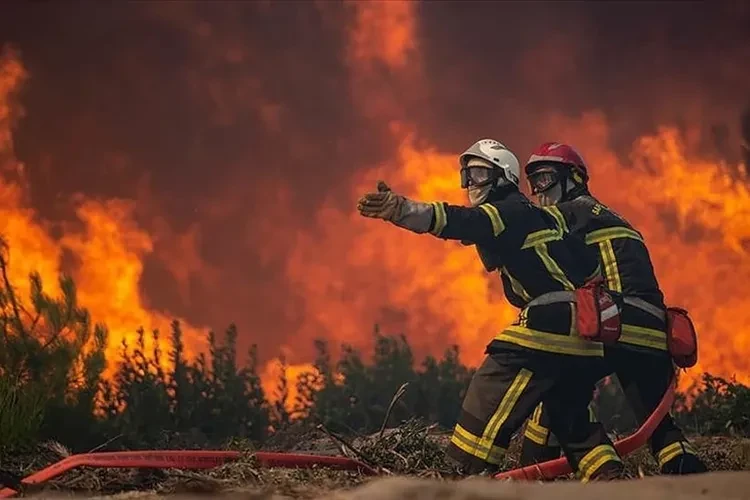 Fransa'da 400 hektardan fazla ormanlık alan yandı