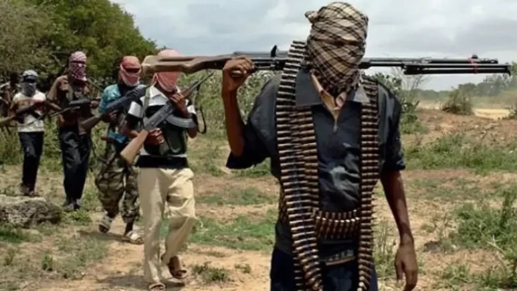 Nijerya'da terör örgütü Boko Haram'ın düzenlediği saldırıda 18 kişi öldü