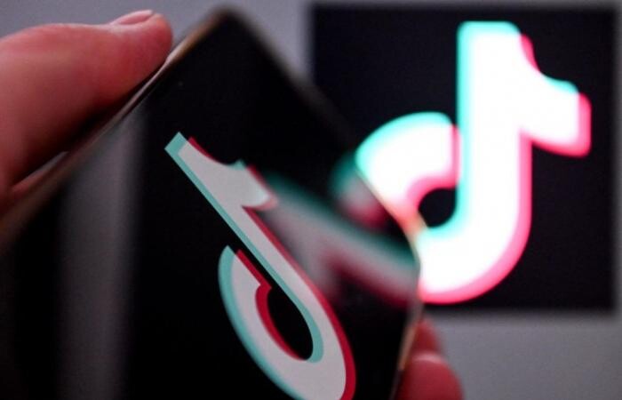 İsveç ordusu TikTok kullanımını yasakladı