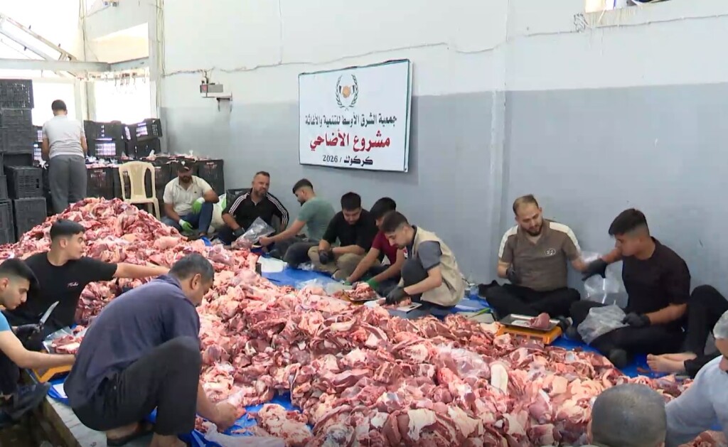 Hasene ve Orta Doğu Derneği, Kerkük'te 95 büyükbaş kurbanla yüzleri güldürdü