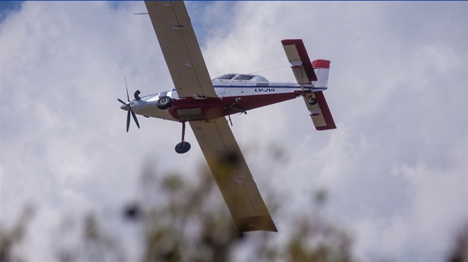 Cezayir Sivil Savunma Başkanlığı: Tüm orman yangınları söndürüldü