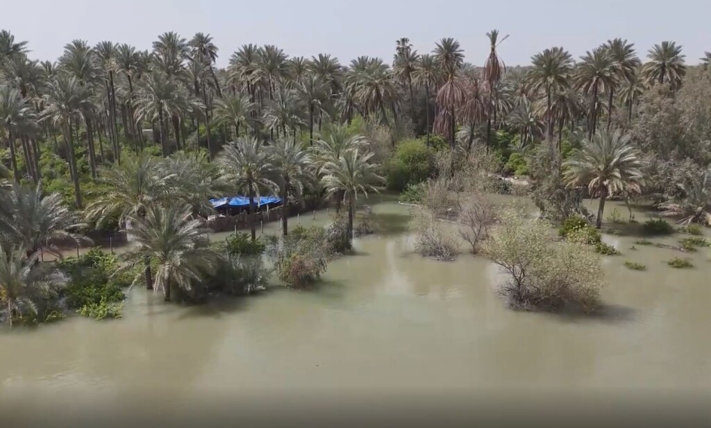 Diyale Nehri’ndeki su artışı tarım arazilerini olumsuz etkiledi