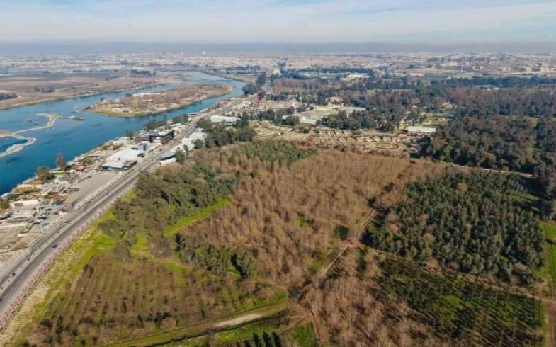 Musul Ormanları doğal koruma alanı ilan edildi