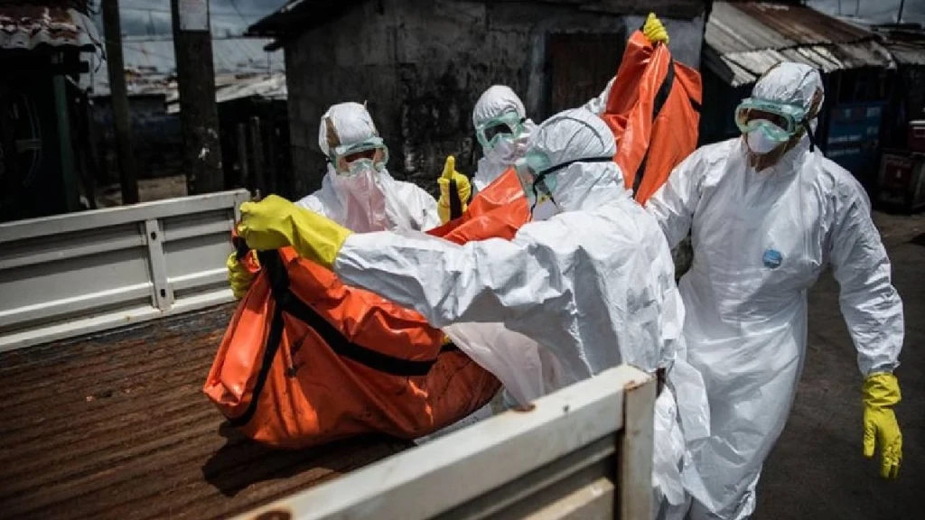 Nijerya, Ebola virüsü tehdidine karşı alarma geçti